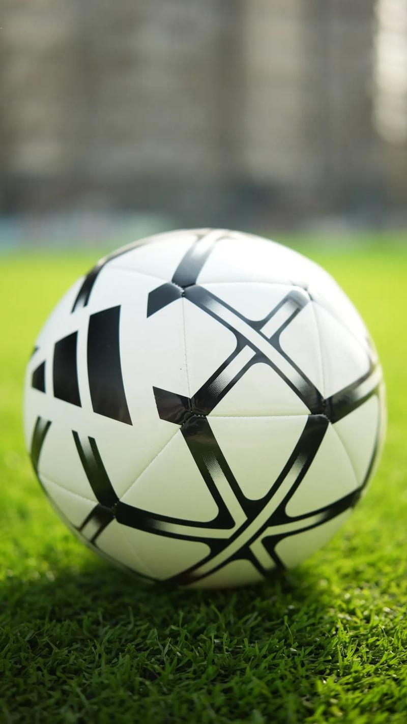 体育媒体新闻报道